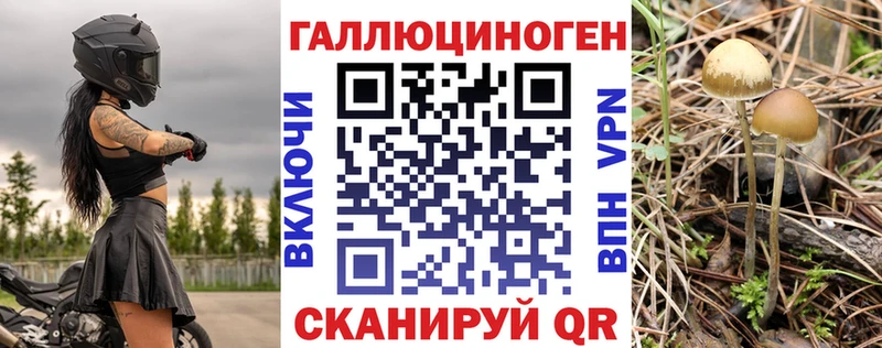 Псилоцибиновые грибы Magic Shrooms  Купить  Туран 